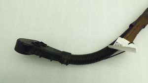 Mercedes-Benz CL C215 Positive cable (battery) 2205403933