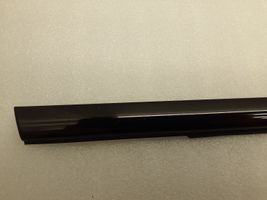 BMW X3 F25 Rear door glass trim molding 7247798