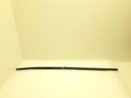 BMW X3 F25 Front door glass trim molding 7247796