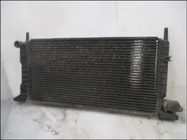 Ford Escort Aušinimo skysčio radiatorius 6912236