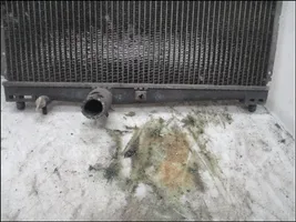 Toyota Yaris Radiateur de refroidissement 164000J010