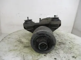 Renault Scenic I Rear differential 7700112918