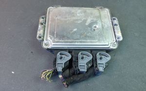 Peugeot 206 Komputer / Sterownik ECU silnika 0281011784