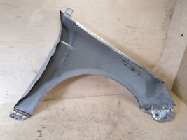 Ford Focus Fender 