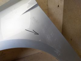 Ford Focus Fender 