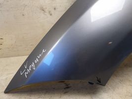 Renault Megane III Fender 