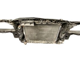 Seat Leon (1P) Radiatoru panelis (televizors) 1P0805588A