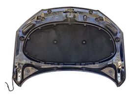 Seat Toledo IV (NH) Engine bonnet/hood 6JA823155