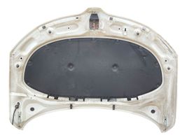 Skoda Rapid (NH) Engine bonnet/hood 