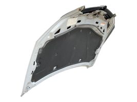 Opel Antara Engine bonnet/hood 96433237