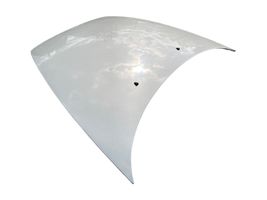 Volvo C30 Engine bonnet/hood 31201206