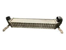 Volkswagen Sharan Radiatore intercooler 7M3145805