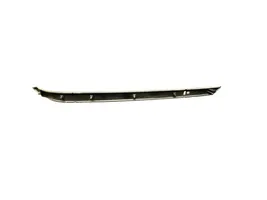 Audi A4 S4 B7 8E 8H Front door trim bar 8E0867409