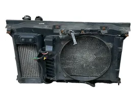 Citroen C4 II Radiatorių panelė (televizorius) P1858824116