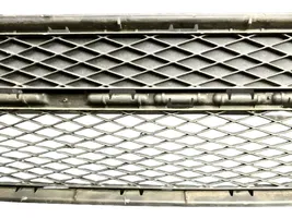 Volkswagen Tiguan Front bumper lower grill 5N0853677