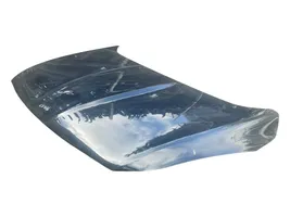 Ford Kuga II Engine bonnet/hood CJ54S16854AC