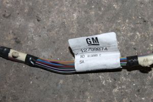 Saab 9-3 Ver2 Front door wiring loom 12759874