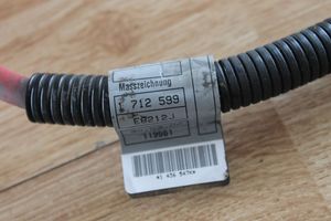 BMW 3 E46 Wires (generator/alternator) 1712599