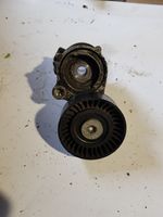 Volkswagen Polo IV 9N3 Tendicinghia generatore/alternatore 03D903305B