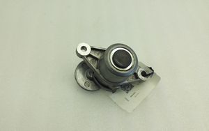 Citroen DS4 Napinacz paska wielorowkowego / Alternatora 9801875280