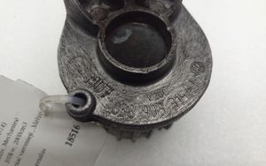 Volkswagen PASSAT B7 Napinacz paska alternatora 038903315