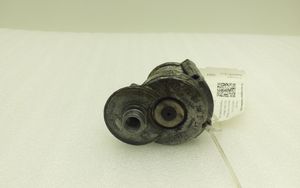 Volkswagen PASSAT B7 Napinacz paska alternatora 03C145299