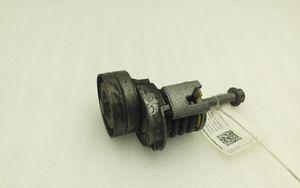 Volkswagen PASSAT B7 Napinacz paska alternatora 03C145299