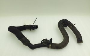 Seat Alhambra (Mk2) Engine coolant pipe/hose 7N0121070