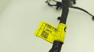 KIA Sportage Faisceau de câbles hayon de coffre 91650F1590