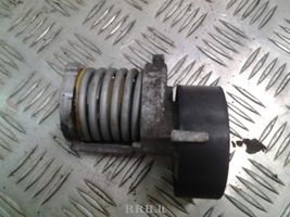 Audi A2 Napinacz paska alternatora 030145299F