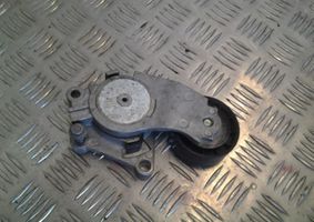 Citroen Berlingo Napinacz paska alternatora 846143