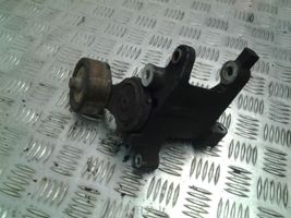 Toyota Hilux (AN10, AN20, AN30) Tendicinghia generatore/alternatore 