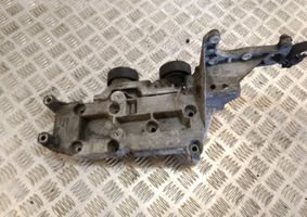 Volvo V70 Napinacz paska wielorowkowego / Alternatora 30757282