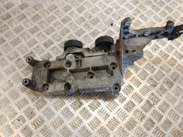 Volvo V70 Napinacz paska wielorowkowego / Alternatora 30757282