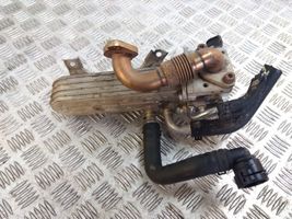 Seat Leon (1P) EGR-venttiili/lauhdutin 038131513AD