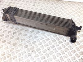 Renault Laguna III Radiatore intercooler 14496000R