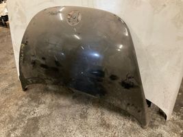 Volkswagen New Beetle Engine bonnet/hood 