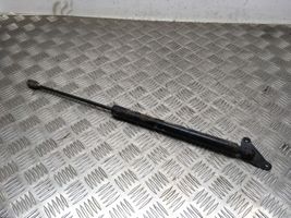 Volkswagen Tiguan Rear window strut damper 5N0827436