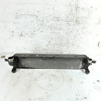 Nissan X-Trail T31 Canale guida dell’aria dell’intercooler 14461JG70B