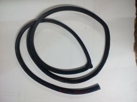 Opel Antara Front door rubber seal 