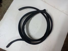 Opel Antara Front door rubber seal 