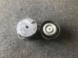 Chevrolet Camaro Napinacz paska wielorowkowego / Alternatora 013964