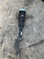 Audi A4 S4 B9 Front shock absorber with coil spring 8W0031AB