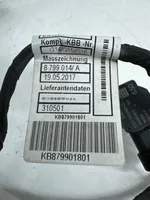 BMW 8 G16 Cableado del sensor de aparcamiento (PDC) 8799018