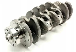 Volkswagen Transporter - Caravelle T6 Crankshaft BRS