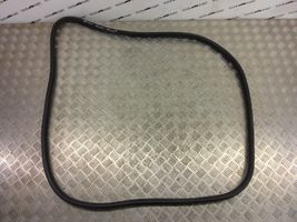 BMW X3 F25 Front door rubber seal 