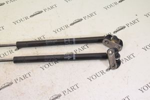 Toyota Prius (XW20) Tailgate/trunk strut/damper 689500W251