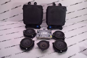 BMW X1 F48 F49 Kit del sistema de audio 2622761