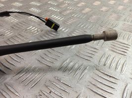 Ford C-MAX II Amplificatore antenna AM5T18828BE