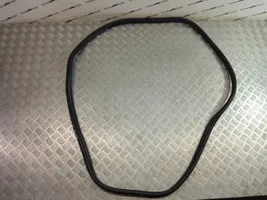 BMW X1 F48 F49 Front door rubber seal 7349628